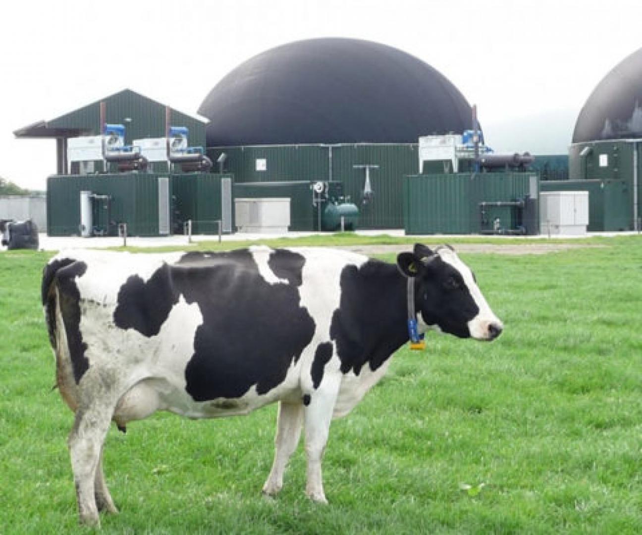 Filmpje: belang van de beste technieken voor stikstof, klimaat, circulaire landbouw en economie