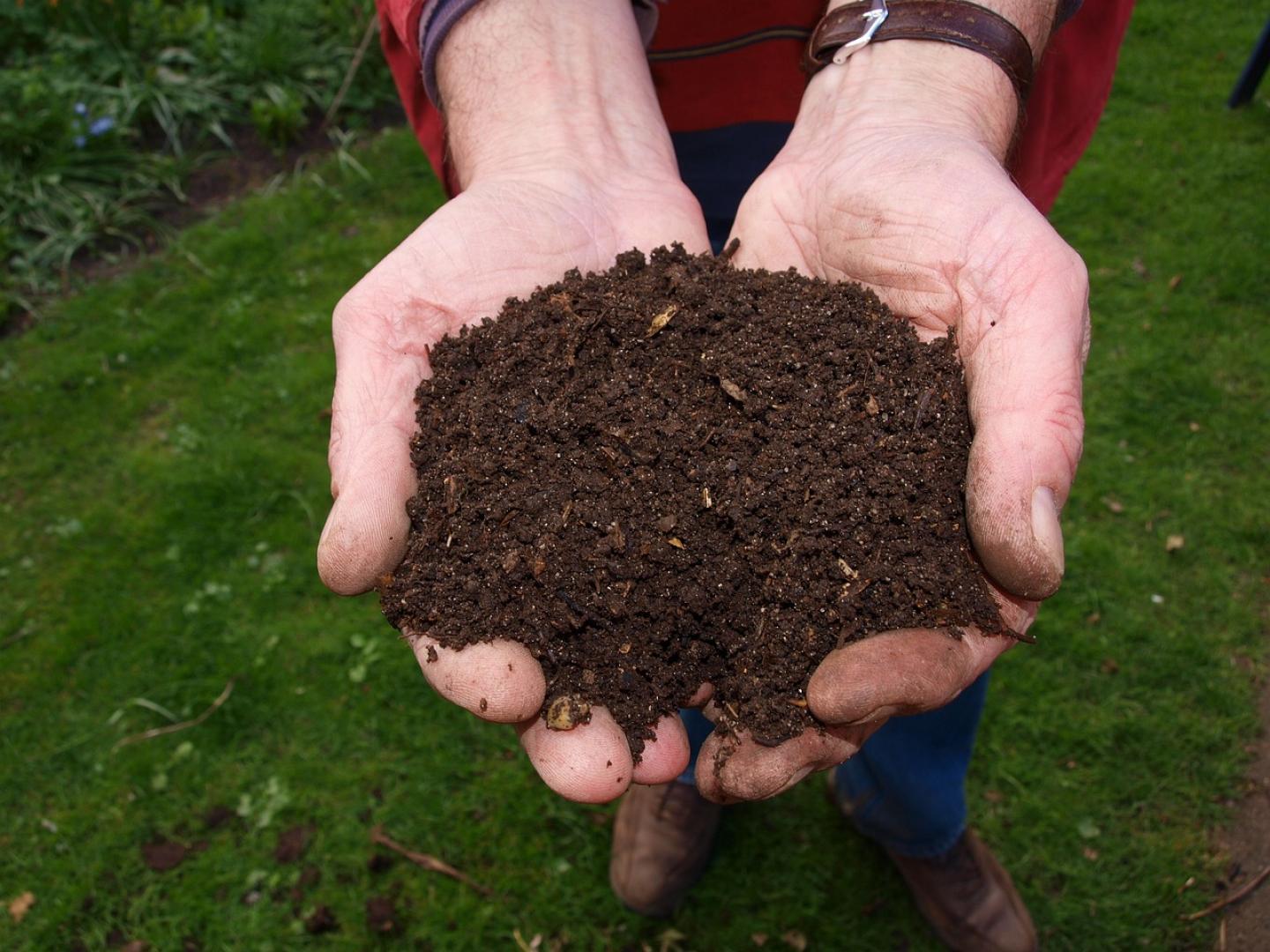 7 voordelen van compostgebruik