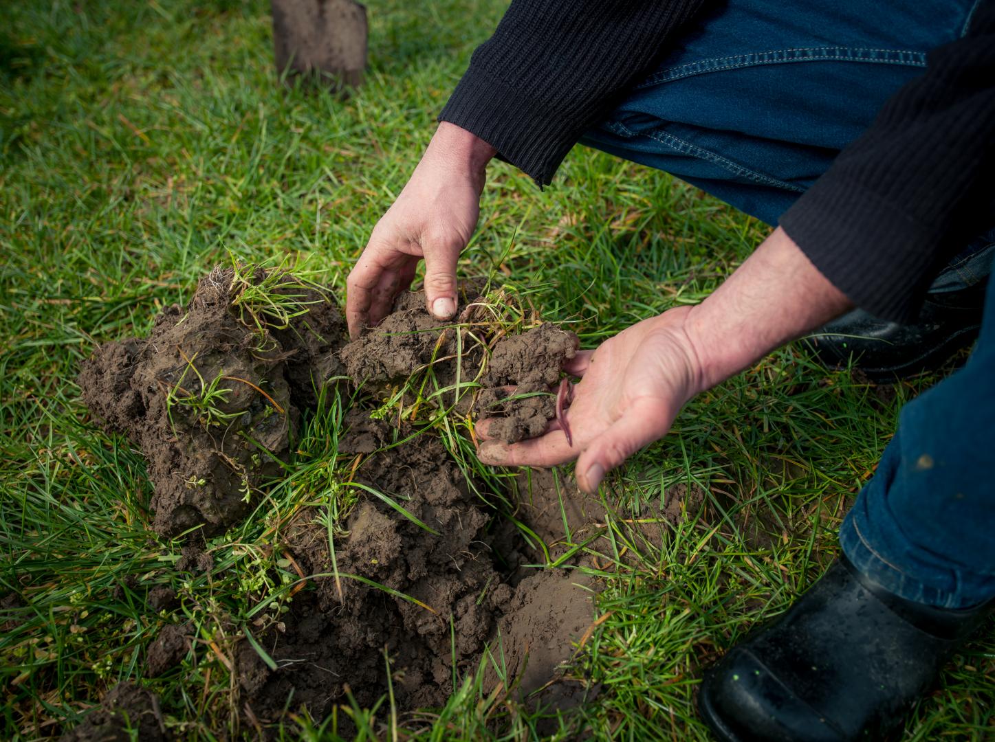 Kennisdag Bodem & Klimaat op 14 november 2023