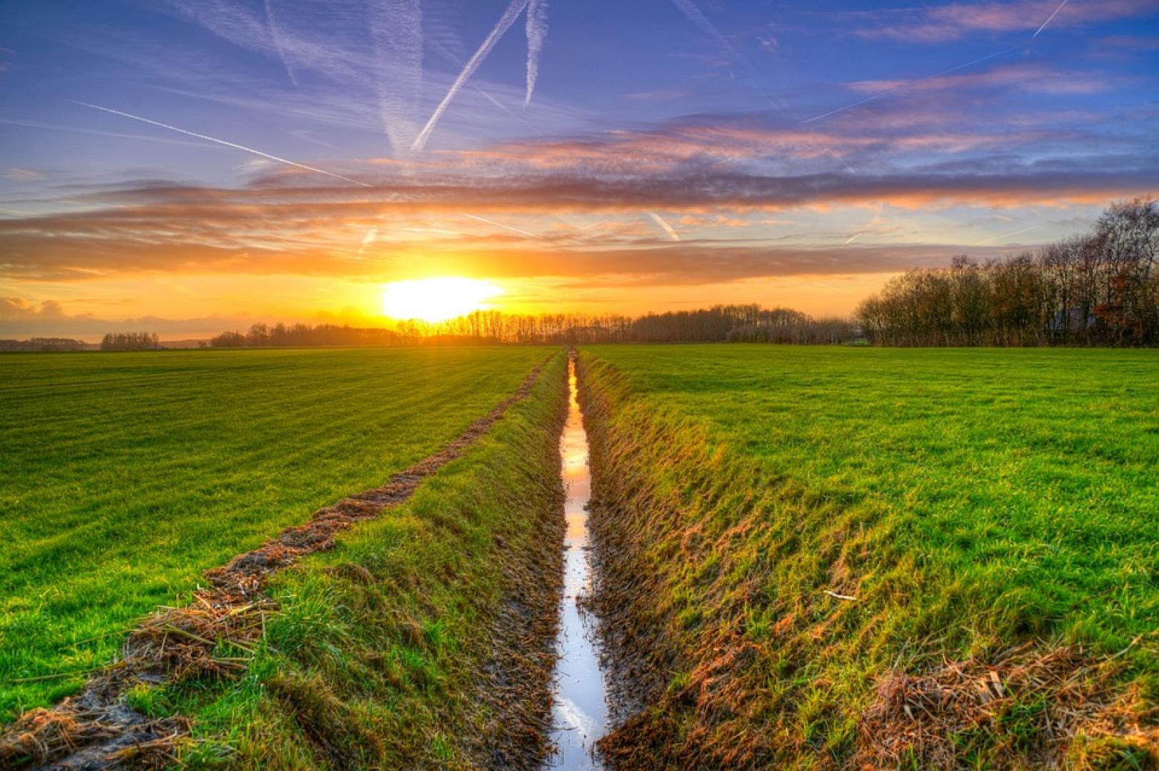Waterschappen vragen aandacht voor nutriënten verontreinigde gebieden en bufferstroken in LNV-commissiedebat Mest