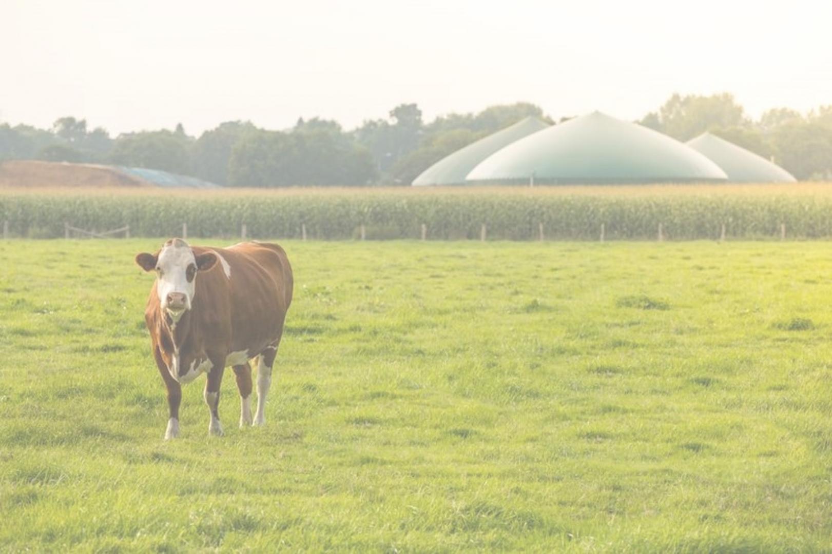 Excursie innovatieve mestbewerkingstechnieken op 13 juni 2024