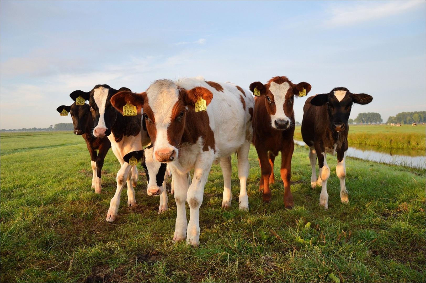 Bijeenkomst ‘Jij eet toch ook graag van een schoon bord’ (14 juni)