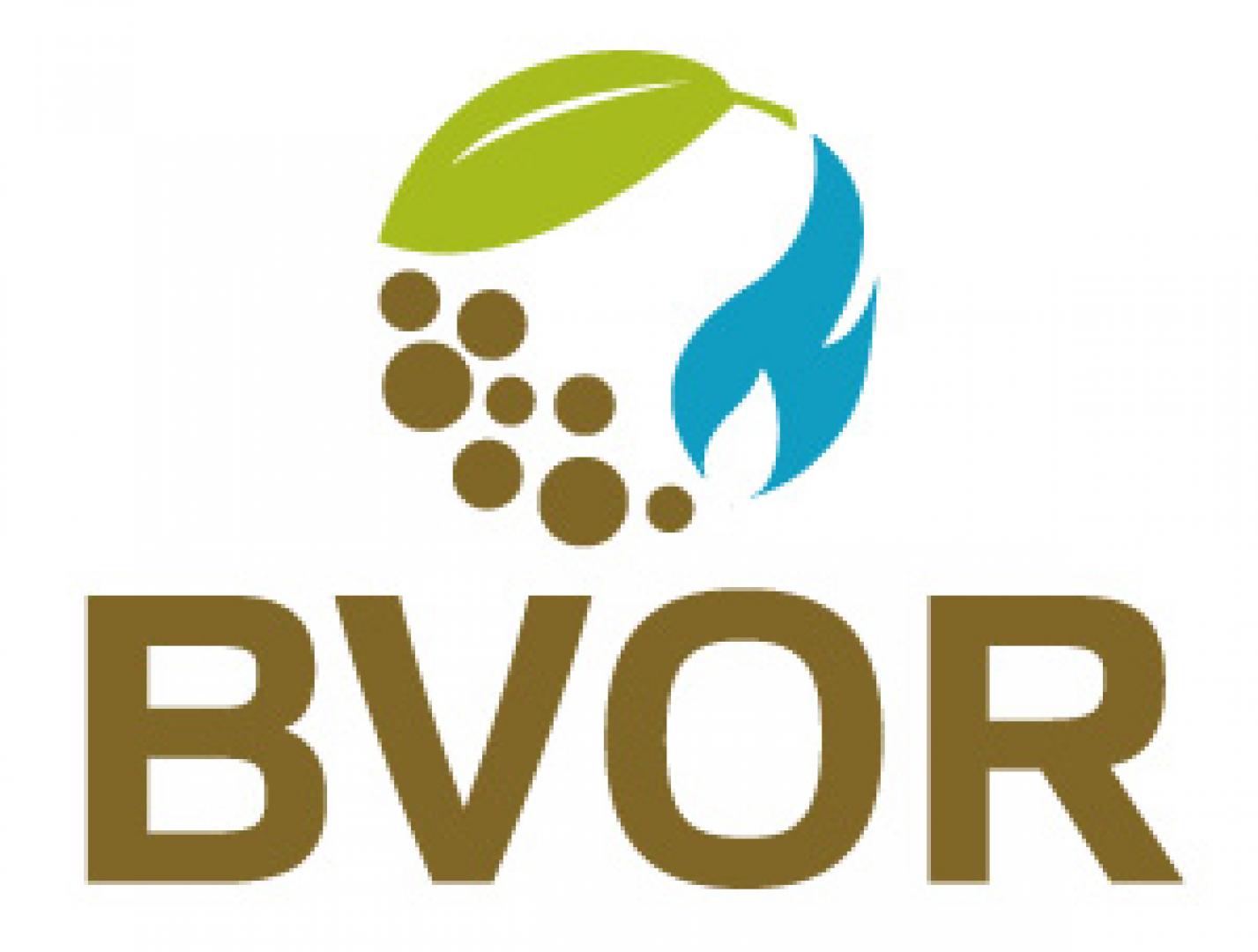 Sanne Kaasjager nieuwe directeur BVOR