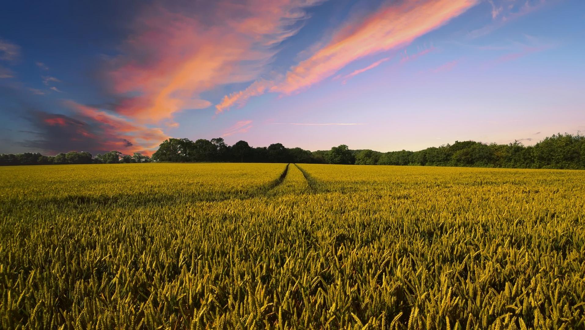 Webinar ‘Van kalenderlandbouw naar doelsturing’ op 4 maart